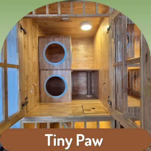 Cat Room (S) - Tiny Paw