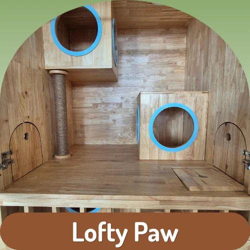 Cat Room (M) - Lofty Paw
