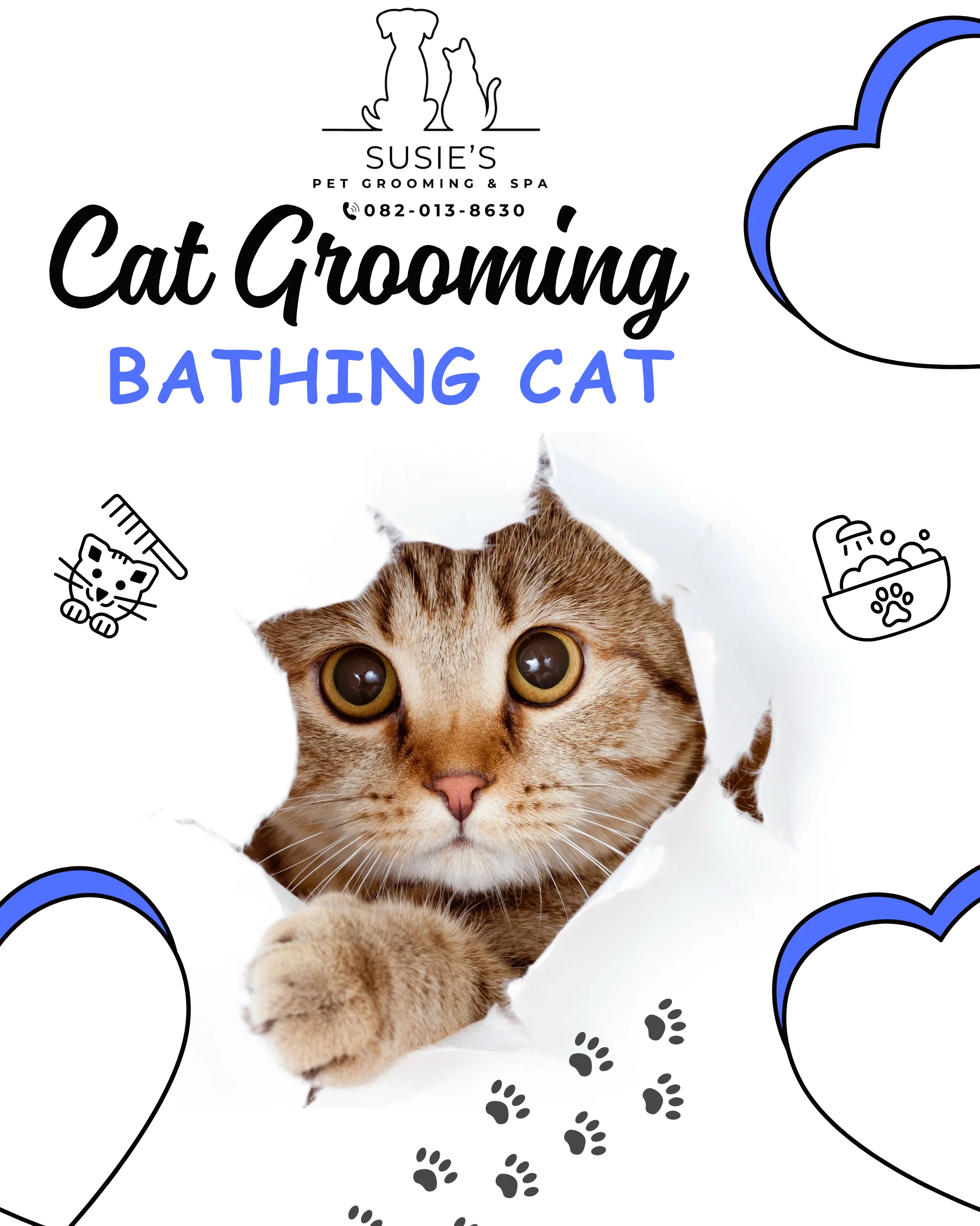 อาบน้ำแมวขนสั้น น้ำหนัก 5.1 - 7 กิโลกรัม (Bathing Cat, Short Coat, Weight 5.1 - 7 Kg.)