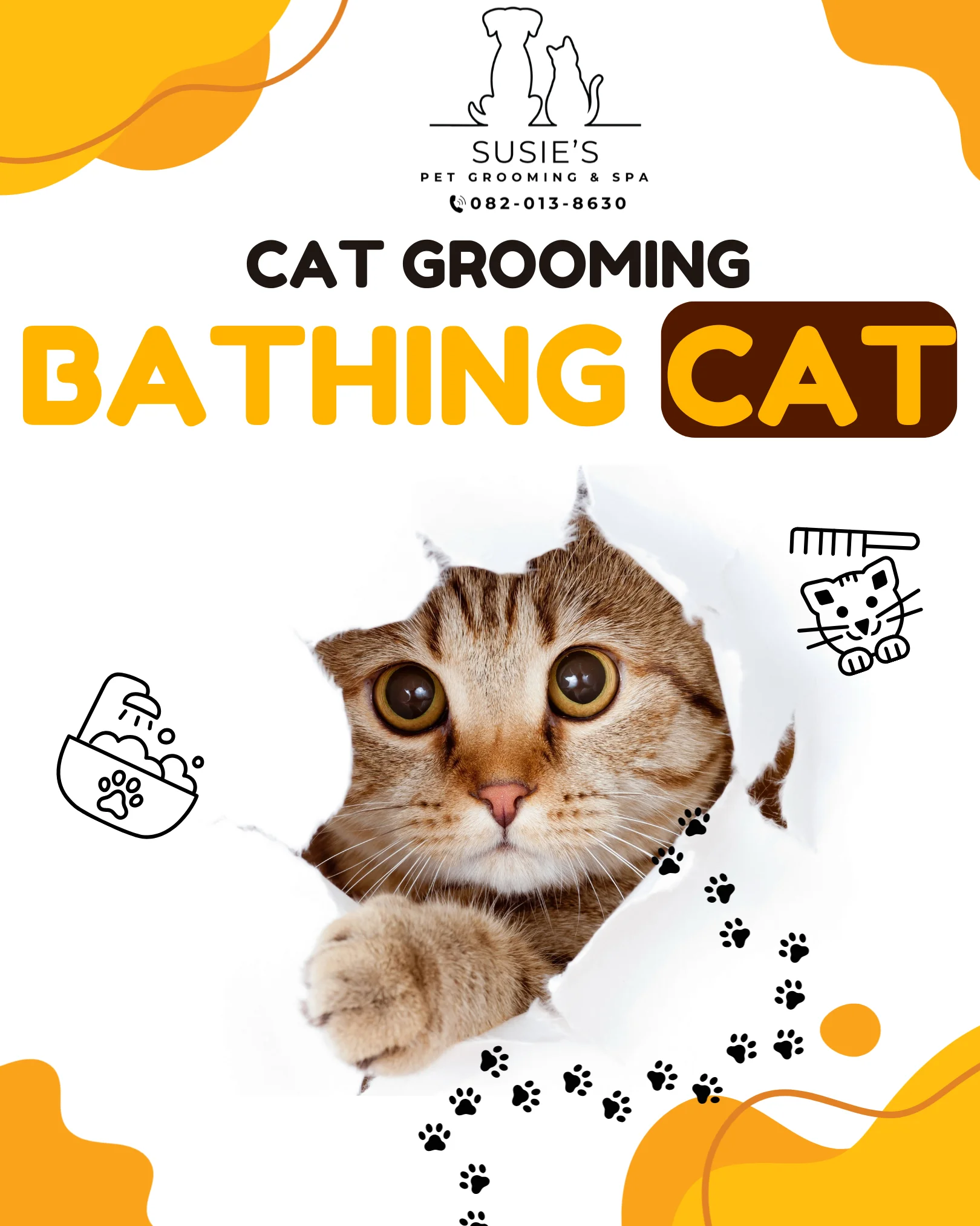 อาบน้ำแมวขนยาว ไม่เกิน 3 กิโลกรัม (Bathing Cat, Long Coat, Weight not over 3 Kg.)