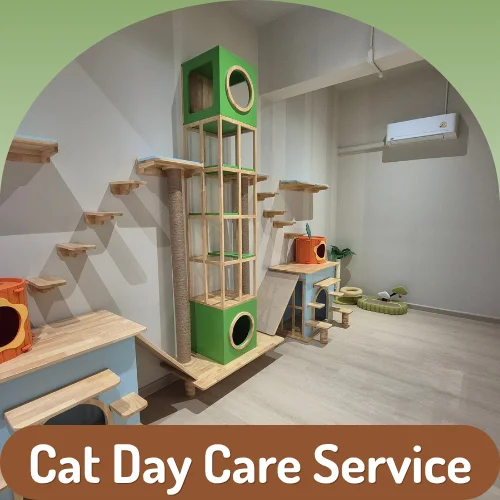 Cat Day Care