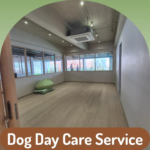 Dog Day Care