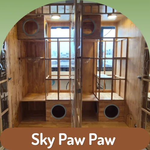 Cat Room (XL) - Sky Paw